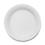 enviropal® 6" Disposable Paper Plates (10x100)