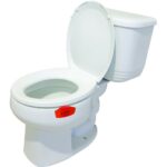 P-Wave Highly Fragranced Toilet Bowl Clips - Mango - Image 3