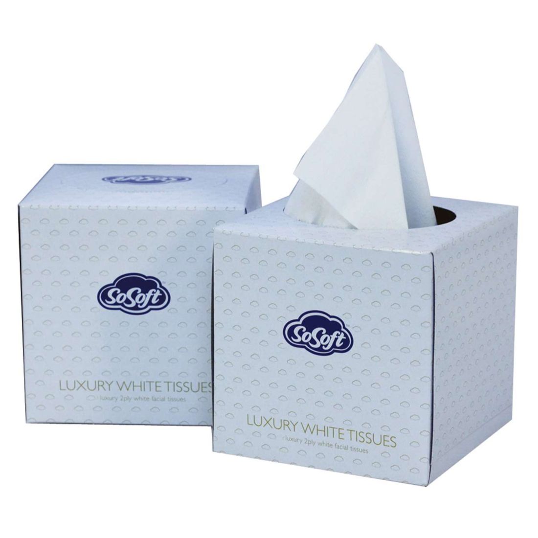 PFT650C_2.jpg 2-Ply White Cube Facial Tissues (1x24) - Image 1