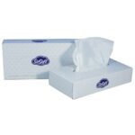 2-Ply White Desk Top Facial Tissues (1x36)