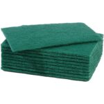 CleanSource® 9x6" Green Scourers / Scouring Pads (1x10)